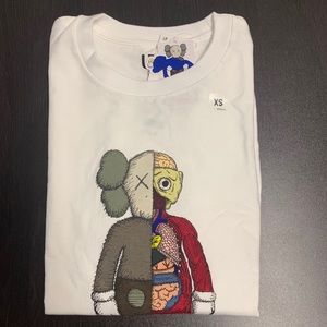 Kaws X Uniqlo